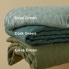 Bedsure Queen Size Quilt, Lightweight Comforter Set, Mineral Blue Bedspread | Coverlet, Basket Weave, All-Season Comfort, Skin-Friendly Soft, Breathable, Machine Washable, 90″x96″, 3 Pcs, 2 Pillow Shams(07 – Dark Green)