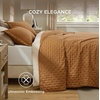 Bedsure Quilts Queen Size Bedspread, Thin Comforter, Charcoal Coverlet | All-Season Bedding, Soft, Modern Clover Pattern, Stitch-Free Quilt-Tech, Pet-Friendly, Machine Washable, 90x96in, 3 Pcs(12 – Honey Caramel – Clover)