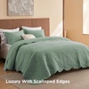 Bedsure Quilts Queen Size Bedspread, Thin Comforter, Charcoal Coverlet | All-Season Bedding, Soft, Modern Clover Pattern, Stitch-Free Quilt-Tech, Pet-Friendly, Machine Washable, 90x96in, 3 Pcs(09 – Sage Green – Leaf)