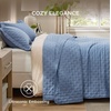Bedsure Quilts Queen Size Bedspread, Thin Comforter, Charcoal Coverlet | All-Season Bedding, Soft, Modern Clover Pattern, Stitch-Free Quilt-Tech, Pet-Friendly, Machine Washable, 90x96in, 3 Pcs(03 – Mineral Blue – Clover)