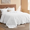 Bedsure Quilts Queen Size Bedspread, Thin Comforter, Charcoal Coverlet | All-Season Bedding, Soft, Modern Clover Pattern, Stitch-Free Quilt-Tech, Pet-Friendly, Machine Washable, 90x96in, 3 Pcs(17 – Bright White – Leaf)
