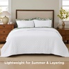 Bedsure Quilts Queen Size Bedspread, Thin Comforter, Charcoal Coverlet | All-Season Bedding, Soft, Modern Clover Pattern, Stitch-Free Quilt-Tech, Pet-Friendly, Machine Washable, 90x96in, 3 Pcs(01 – Bright White – Clover)