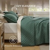 Bedsure Quilts Queen Size Bedspread, Thin Comforter, Charcoal Coverlet | All-Season Bedding, Soft, Modern Clover Pattern, Stitch-Free Quilt-Tech, Pet-Friendly, Machine Washable, 90x96in, 3 Pcs(06 – Dark Green – Clover)