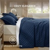 Bedsure Quilts Queen Size Bedspread, Thin Comforter, Charcoal Coverlet | All-Season Bedding, Soft, Modern Clover Pattern, Stitch-Free Quilt-Tech, Pet-Friendly, Machine Washable, 90x96in, 3 Pcs(02 – Navy – Clover)