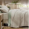 Bedsure Quilts Queen Size Bedspread, Thin Comforter, Charcoal Coverlet | All-Season Bedding, Soft, Modern Clover Pattern, Stitch-Free Quilt-Tech, Pet-Friendly, Machine Washable, 90x96in, 3 Pcs(13 – Oatmeal – Clover)