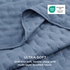 Bedsure Quilts Queen Size Bedspread, Thin Comforter, Charcoal Coverlet | All-Season Bedding, Soft, Modern Clover Pattern, Stitch-Free Quilt-Tech, Pet-Friendly, Machine Washable, 90x96in, 3 Pcs(03 – Mineral Blue – Clover)