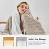 Bedsure Sherpa Fleece Blanket, Cable Jacquard Tufted, Warm, Orange, Throw | Ultra-Soft, Cozy, Comfort, Stylish Home Decor for Fall, Thick for Winter, Ideal for Couch, Sofa, Gift for Women, 50×60 Inches(04 – Beige)