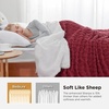 Bedsure Sherpa Fleece Blanket, Cable Jacquard Tufted, Warm, Orange, Throw | Ultra-Soft, Cozy, Comfort, Stylish Home Decor for Fall, Thick for Winter, Ideal for Couch, Sofa, Gift for Women, 50×60 Inches(08 – Red)