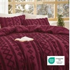 Bedsure Tufted Boho Comforter Set Queen Size – Beige Boho Bed Set, GentleSoft™ 3 Pieces Farmhouse-Style Embroidery Bedding, Gifts for Woman, Soft Jacquard Kids’ Queen Comforter for All Seasons(27 – Burgundy – Elegant)