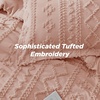Bedsure Tufted Boho Comforter Set Queen Size – Beige Boho Bed Set, GentleSoft™ 3 Pieces Farmhouse-Style Embroidery Bedding, Gifts for Woman, Soft Jacquard Kids’ Queen Comforter for All Seasons(24 – Light Pink – Elegant)
