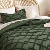 Bedsure Tufted Boho Comforter Set Queen Size – Beige Boho Bed Set, GentleSoft™ 3 Pieces Farmhouse-Style Embroidery Bedding, Gifts for Woman, Soft Jacquard Kids’ Queen Comforter for All Seasons(05 – Olive Green – Diamond Like)