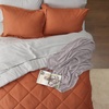 Bedsure Twin XL Comforter – 5 Pieces Reversible Blush Pink Bed in a Bag, Twin XL Bedding Comforter Set College Dorm Essentials with 1 Flat Sheet, 1 Fitted Sheet, 1 Pillowcase and 1 Pillow Sham(26 Burnt Orange/Light Grey)