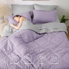 Bedsure Twin XL Comforter – 5 Pieces Reversible Blush Pink Bed in a Bag, Twin XL Bedding Comforter Set College Dorm Essentials with 1 Flat Sheet, 1 Fitted Sheet, 1 Pillowcase and 1 Pillow Sham(27 Light Purple/Light Grey)
