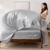 Bedsure Twin XL Comforter – 5 Pieces Reversible Blush Pink Bed in a Bag, Twin XL Bedding Comforter Set College Dorm Essentials with 1 Flat Sheet, 1 Fitted Sheet, 1 Pillowcase and 1 Pillow Sham(27 Light Purple/Light Grey)