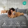 Bedsure Twin XL Comforter – 5 Pieces Reversible Blush Pink Bed in a Bag, Twin XL Bedding Comforter Set College Dorm Essentials with 1 Flat Sheet, 1 Fitted Sheet, 1 Pillowcase and 1 Pillow Sham(01 Grey/Light Grey)