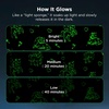 Bedsure Unicorn Glow in The Dark Blanket – Pink Blanket for Girls Kids Age 3-12 as Unicorn Birthday Gift, GentleSoft Cozy Cute Throw for Couch Sofa Bed Home Decor, 50×60(01 – Unicorn)