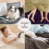 Bedsure Waterproof Blanket for Bed Soft Flannel Fleece, Twin 60″x80″ | Dog Blankets for Large Senior Dogs，Couch Cover Throw for Pet Leakproof, Furniture Protector for Travel Camping,Eggplant(Cream)