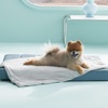 Bedsure ArcticMax™ Q-MAX>0.5 Premium Cooling Blanket for XL Dog，50×60” | Breathable Summer Washable Throw, Dog Blanket Cooling Mat Pad, Soft Durable Cold Self Cooling Pet Mat for Hot Weather，Blue(Pearl Grey)