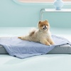 Bedsure ArcticMax™ Q-MAX>0.5 Premium Cooling Blanket for XL Dog，50×60” | Breathable Summer Washable Throw, Dog Blanket Cooling Mat Pad, Soft Durable Cold Self Cooling Pet Mat for Hot Weather，Blue(Powder Blue)