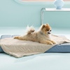 Bedsure ArcticMax™ Q-MAX>0.5 Premium Cooling Blanket for XL Dog，50×60” | Breathable Summer Washable Throw, Dog Blanket Cooling Mat Pad, Soft Durable Cold Self Cooling Pet Mat for Hot Weather，Blue(Gentle Cream)