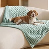 Bedsure ComfyFleece™ Waterproof Blanket for Bed, Twin（60″x80″） Cream | Soft Plush Couch Bed Cover Corduroy Fleece for Furniture Protector, Cozy Calming Reversible Dog Blankets for Large Dogs Pet(Garden Green)