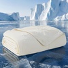 Bedsure Cooling Blanket for Large Dogs Breathable Throw Q-MAX>0.4,40×50 | Air-Core Fill，Washable Dog Cooling Mat Soft, Lightweight Pet Cat Couch Cover, Cold Blanket for Summer, Pale Jade(Beige)