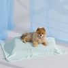 Bedsure Cooling Blanket for Large Dogs Breathable Throw Q-MAX>0.4,40×50 | Air-Core Fill，Washable Dog Cooling Mat Soft, Lightweight Pet Cat Couch Cover, Cold Blanket for Summer, Pale Jade(Pale Jade)