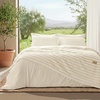 02 - Cream White