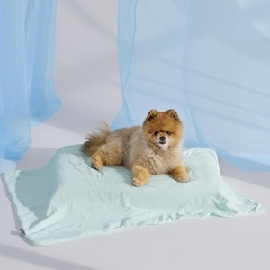 Bedsure Cooling Blanket for Large Dogs Breathable Throw Q-MAX>0.4,40×50 | Air-Core Fill，Washable Dog Cooling Mat Soft, Lightweight Pet Cat Couch Cover, Cold Blanket for Summer, Pale Jade(Pale Jade)