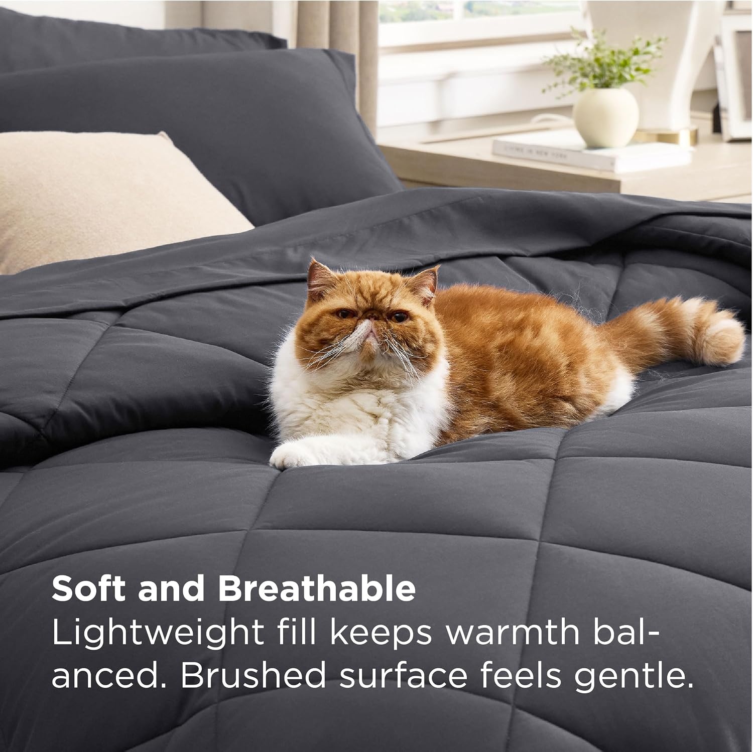 image:imageBedsure Premium Series 5 Piece Black Twin Comforter Set Goose Down Alternative All Season Medium Warmth Soft Hotel Luxury Bed in a Bag Safe for Sensitive Skin Includes Sheets Pillowcase amp Sham05 Dark Grey