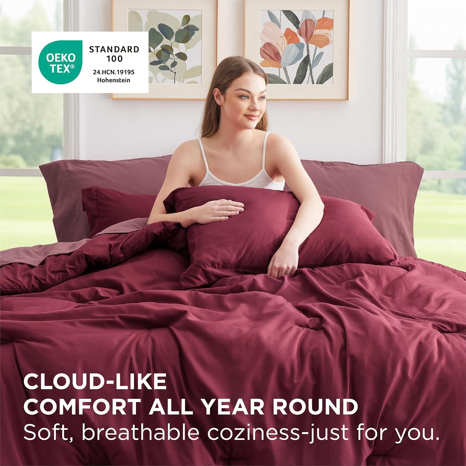 image:imageBedsure Queen Bed in a Bag Sage Green Comforter Set DualTone 7 Pieces Bedding Set All Seasons Contrasting Design Reversible Soft Modern with Sheets Breathable Bed Set 909012 BurgundyRoan Rouge