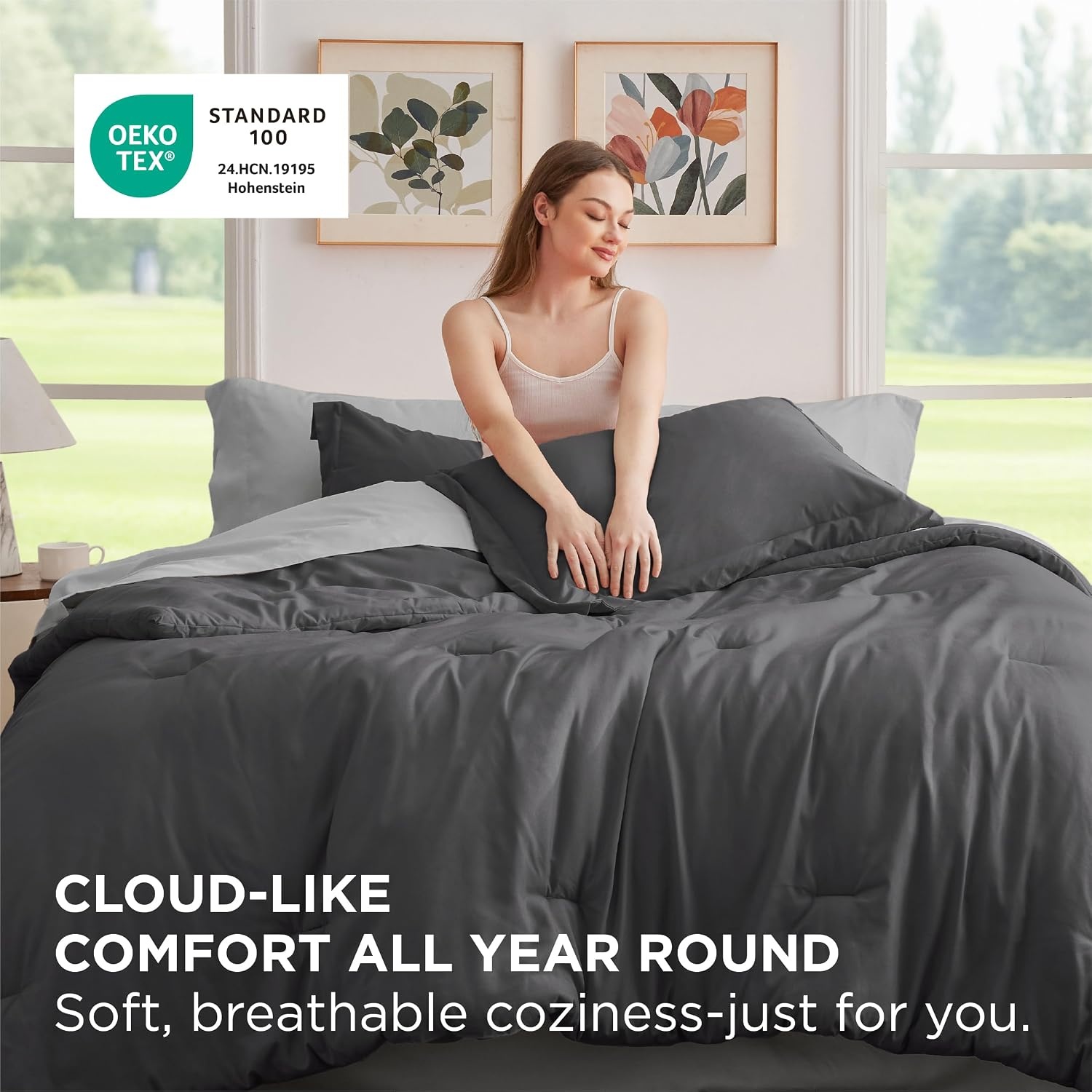 image:imageBedsure Queen Bed in a Bag Sage Green Comforter Set DualTone 7 Pieces Bedding Set All Seasons Contrasting Design Reversible Soft Modern with Sheets Breathable Bed Set 909015 Dark GreyGrey
