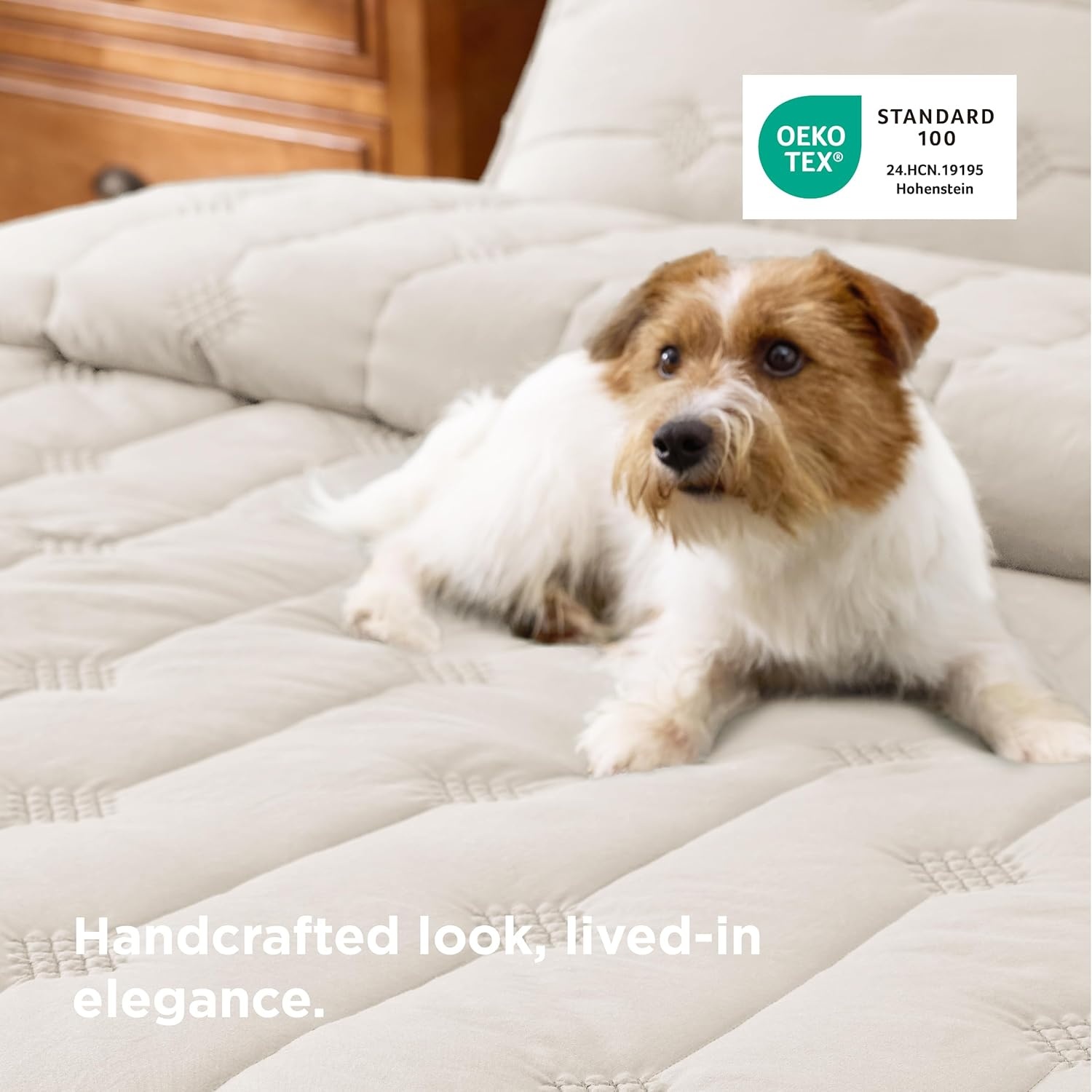 image:imageBedsure Queen Quilt Prewashed Extra Soft CottonLike Polyester Quilts Queen Size Lightweight Comforter Includes 1 Quilt 90x96 Inches with 2 Shams Machine Washable Dark Green03 Beige