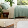 Bedsure Queen Bed in a Bag Sage Green Comforter Set Dual-Tone 7 Pieces | Bedding Set, All Seasons, Contrasting Design, Reversible, Soft, Modern, with Sheets, Breathable, Bed Set 90*90(01 – Sage Green/Beige)
