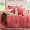 Bedsure Queen Bed in a Bag Sage Green Comforter Set Dual-Tone 7 Pieces | Bedding Set, All Seasons, Contrasting Design, Reversible, Soft, Modern, with Sheets, Breathable, Bed Set 90*90(13 – Coral/Pink)