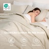 Bedsure Queen Bed in a Bag Sage Green Comforter Set Dual-Tone 7 Pieces | Bedding Set, All Seasons, Contrasting Design, Reversible, Soft, Modern, with Sheets, Breathable, Bed Set 90*90(02 – Beige/White)