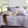 Bedsure Queen Bed in a Bag Sage Green Comforter Set Dual-Tone 7 Pieces | Bedding Set, All Seasons, Contrasting Design, Reversible, Soft, Modern, with Sheets, Breathable, Bed Set 90*90(09 – Lavender/Grayish Purple)