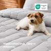 Bedsure Queen Quilt – Prewashed Extra Soft Cotton-Like Polyester Quilts Queen Size, Lightweight Comforter, Includes 1 Quilt 90×96 Inches with 2 Shams, Machine Washable, Dark Green(02 – Light Grey)
