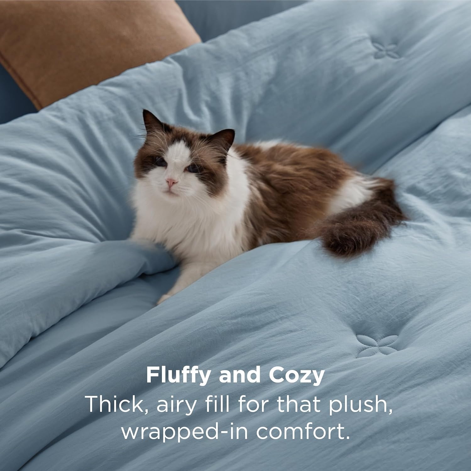 image:imageBedsure Queen Comforter Set Dark Grey Soft Prewashed Queen Size Bedding Quilted Comforter with Circle Design Down Alternative Comforter for All Seasons 3 Pieces Bed Set with 2 Pillow Shams04mineral Blueclover