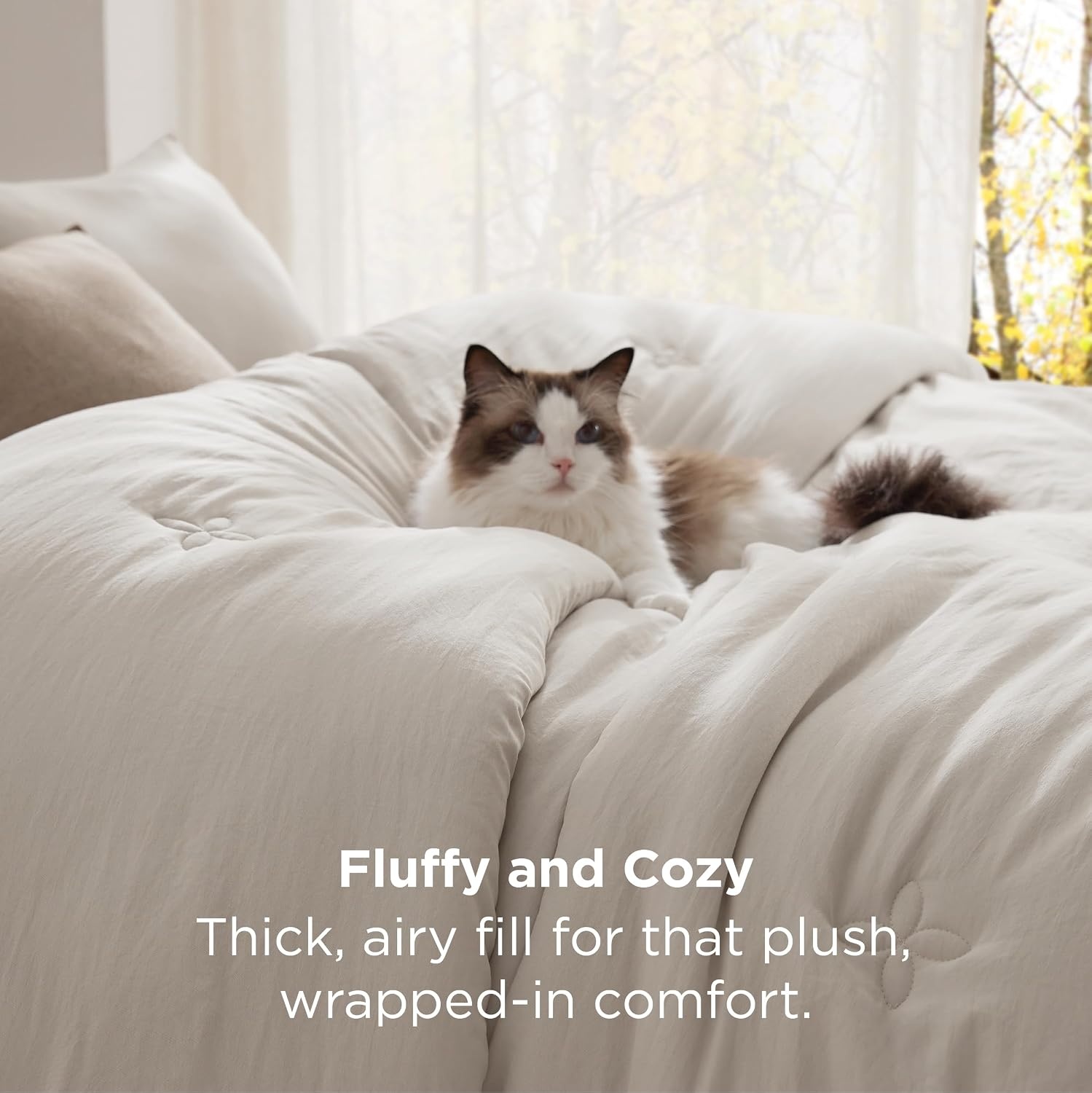 image:imageBedsure Queen Comforter Set Dark Grey Soft Prewashed Queen Size Bedding Quilted Comforter with Circle Design Down Alternative Comforter for All Seasons 3 Pieces Bed Set with 2 Pillow Shams02beigeclover