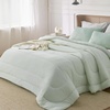 Bedsure Cooling Comforter Queen Size Charcoal Black, Reversible Comforter for Hot Sleepers & Night Sweats All Season, 3 Pieces, 1 Soft Comforter (88″x88″) and 2 Pillow Cases (20″x26″)(Light Green)