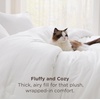 Bedsure Queen Comforter Set Dark Grey, Soft Prewashed Queen Size Bedding, Quilted Comforter with Circle Design, Down Alternative Comforter for All Seasons, 3 Pieces Bed Set with 2 Pillow Shams(05-white-clouds)