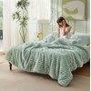 Bedsure Queen Fluffy Comforter Set – GentleSoft 3 Pieces Luxury Fleece Bed Olive Green Bedding, Cozy Room Decor Aesthetic, 1 Queen Bed Comforter (90″x90″) and 2 Pillowcases (20″x26″)(08 – Sage Green)