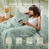Bedsure Queen Fluffy Comforter Set – GentleSoft 3 Pieces Luxury Fleece Bed Olive Green Bedding, Cozy Room Decor Aesthetic, 1 Queen Bed Comforter (90″x90″) and 2 Pillowcases (20″x26″)(08 – Sage Green)