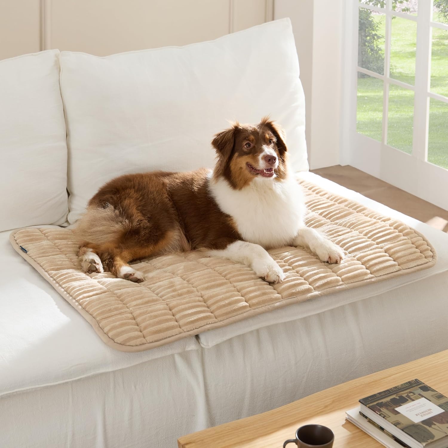 image:imageBedsure ComfyFleece Washable Dog Crate PadSoft Fluffy Medium Pet Mat30 Thin Kennel Pad for Crates TopperFlat Corduroy Fleece Pads for Dog CagesNonslip BottomNot ChewproofSandy BeigeSandy Beige