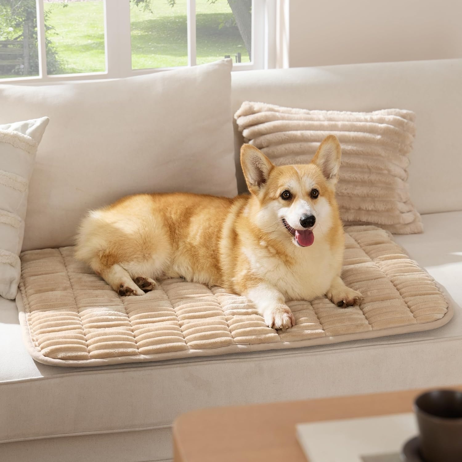 image:imageBedsure ComfyFleece Washable Dog Crate PadSoft Fluffy Medium Pet Mat30 Thin Kennel Pad for Crates TopperFlat Corduroy Fleece Pads for Dog CagesNonslip BottomNot ChewproofSandy BeigeSandy Beige