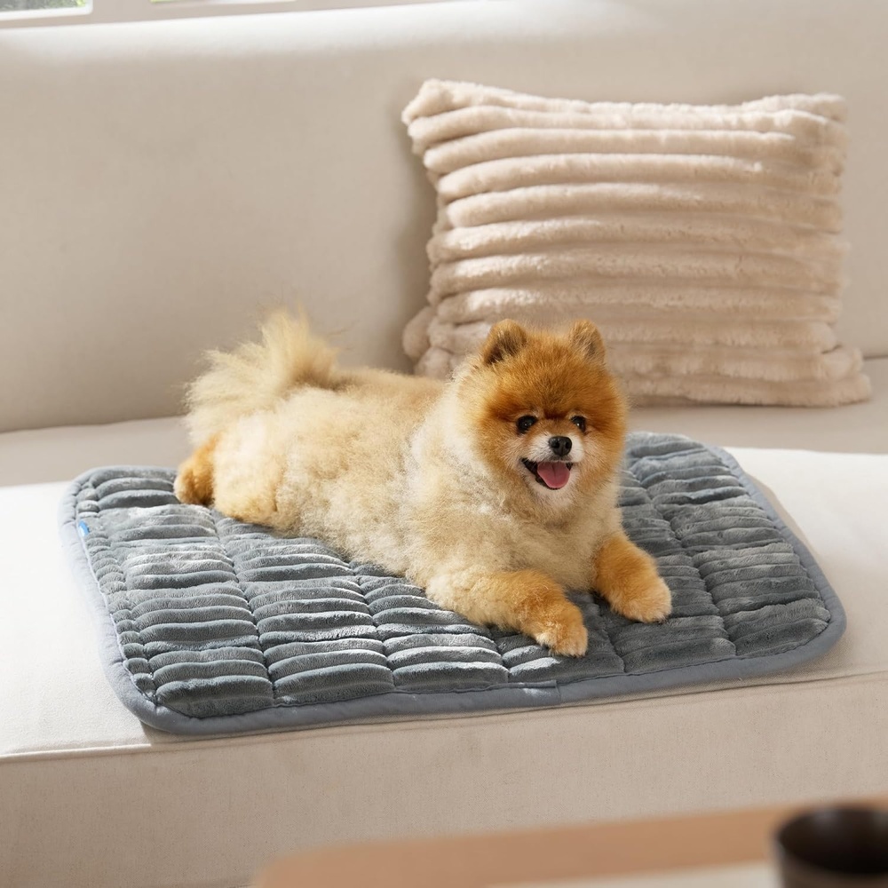 image:imageBedsure ComfyFleece Washable Dog Crate PadSoft Fluffy Medium Pet Mat30 Thin Kennel Pad for Crates TopperFlat Corduroy Fleece Pads for Dog CagesNonslip BottomNot ChewproofSandy BeigeGrey