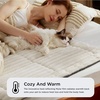 Bedsure ComfyFleece™ Self Warming Cat Bed, Small Self Heating Dog Crate Pad, Thermal Extra Warm Puppy Mat Indoor, Non-Slip & Washable, Not Electric, 24″ x 18″, Grey(Ivory White)