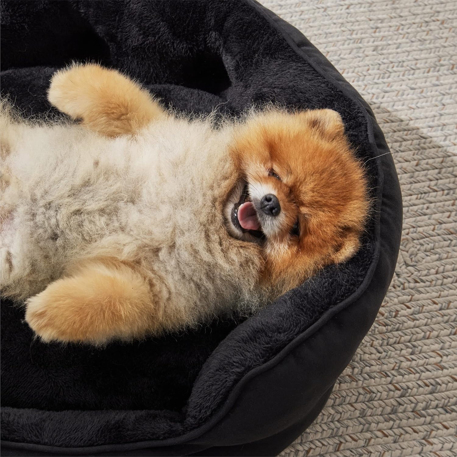 image:imageBedsure AeroFrost Cooling Small Dog Bed Round Washable 20In Arctic Blue QMaxgt04 Cat Beds for Indoor Cats Comfort Cooling Summer Pet BedAntiSlip Bottomfor Puppies and KittensBlack