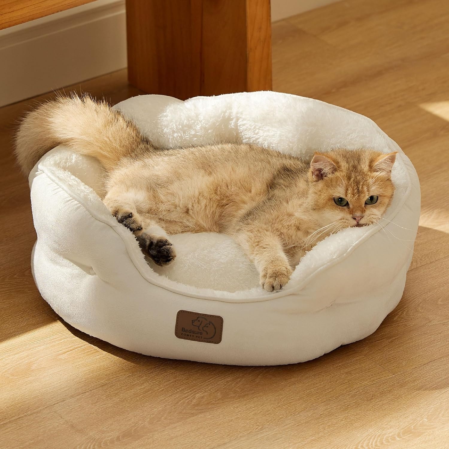 image:imageBedsure AeroFrost Cooling Small Dog Bed Round Washable 20In Arctic Blue QMaxgt04 Cat Beds for Indoor Cats Comfort Cooling Summer Pet BedAntiSlip Bottomfor Puppies and KittensIvory